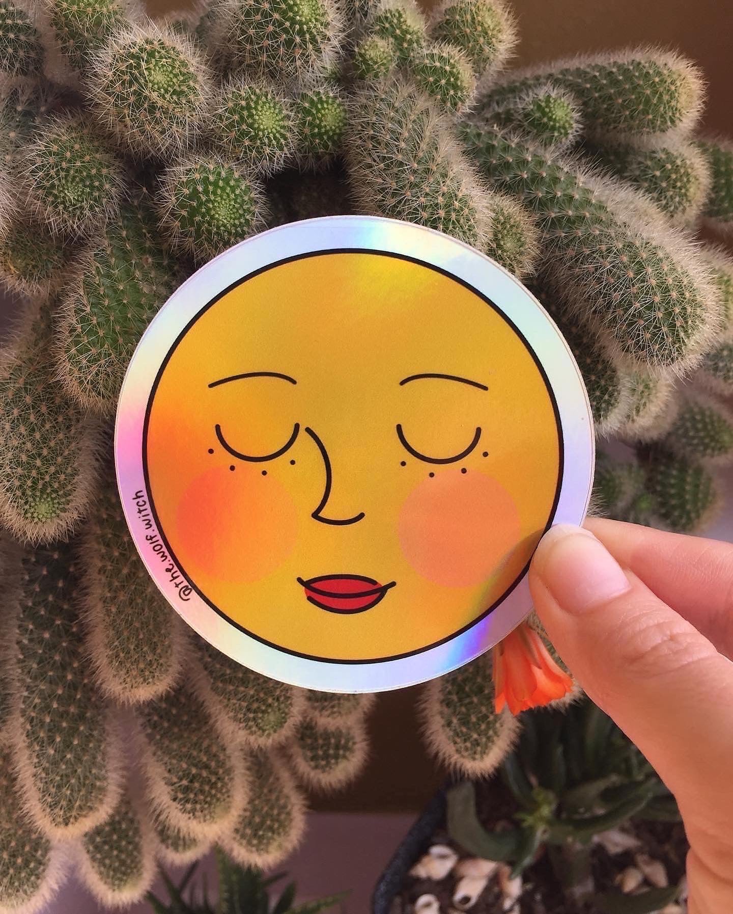 Luna llena - Sticker